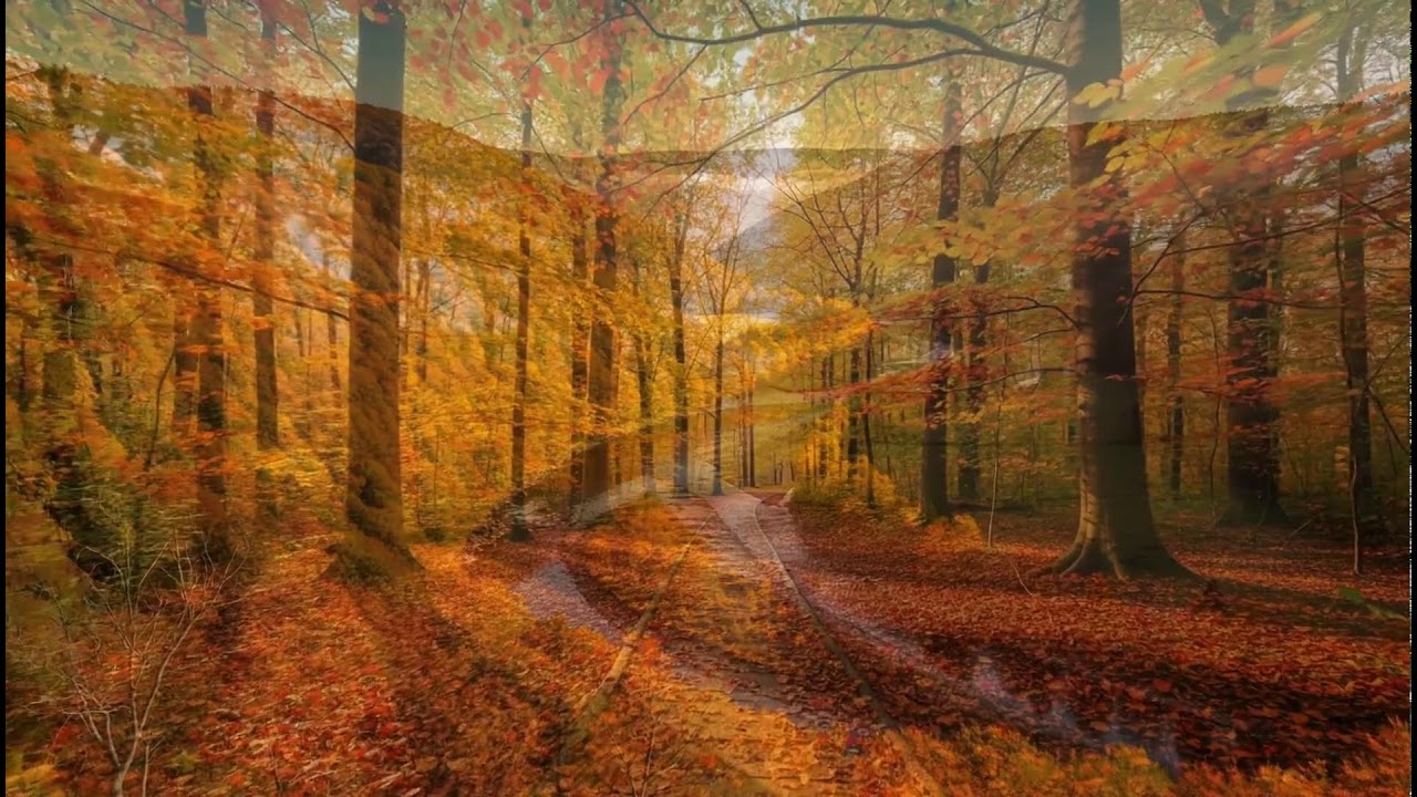 Autumn Reflection 🌾 Peaceful Music for Emotional Healing and Stress-Free Mind