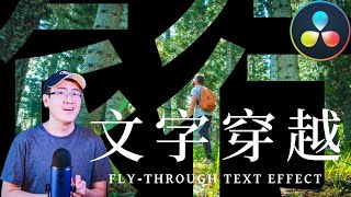 【达芬奇教程】文字穿越