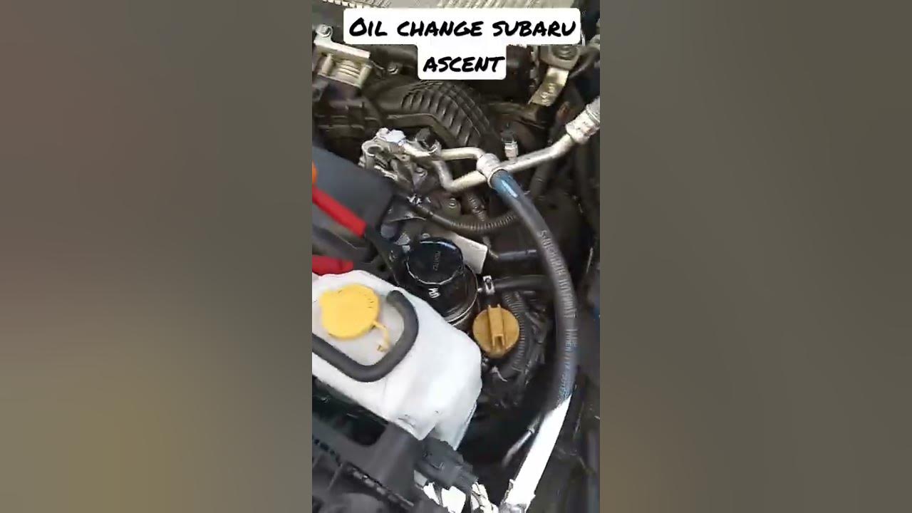 Subaru ascent oil change #subaru #ascent #oilchange#synthetic #oil