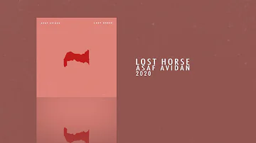 Asaf Avidan - Lost Horse (Official Audio)