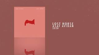 Asaf Avidan - Lost Horse (Official Audio)