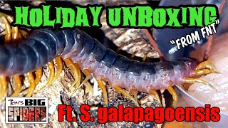 Holiday Unboxing from FNT ft.  S. galapagoensis