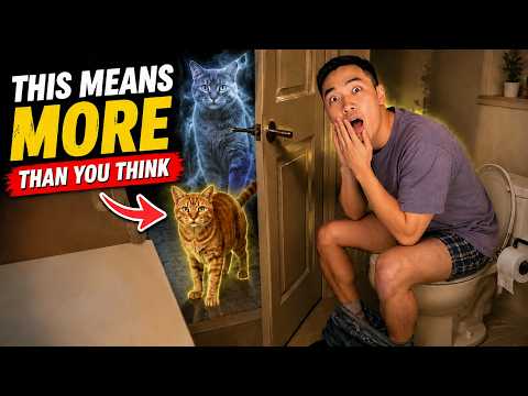 If Your Cat Follows You to the Bathroom, This Is the Real Reason