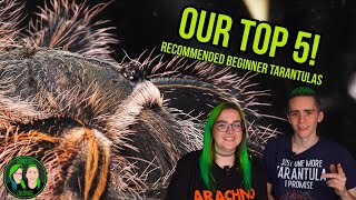 OUR TOP 5 Recommended Beginner Tarantulas - New world edition!