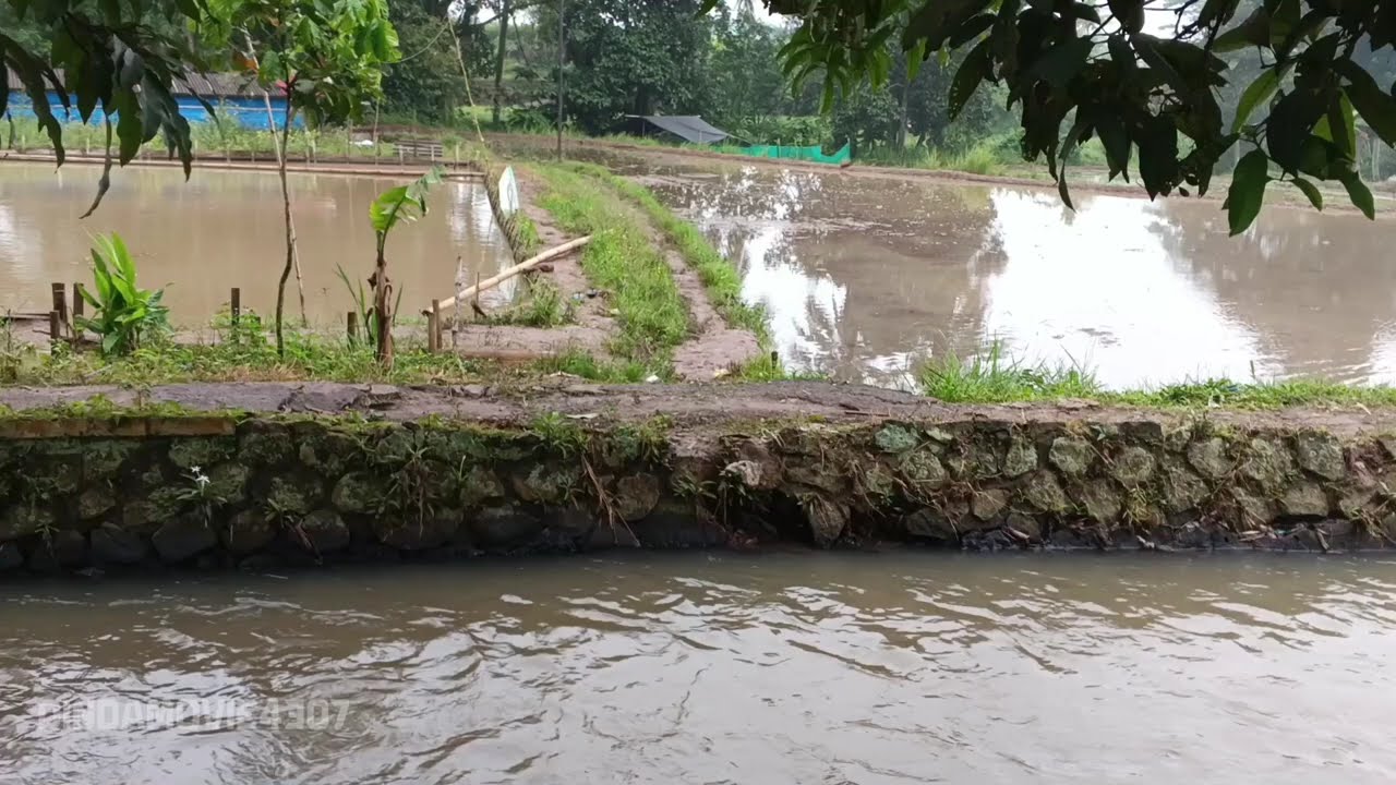 POP SUNDA GASENTRA PAJAMPANGAN TERPOPULER 2026