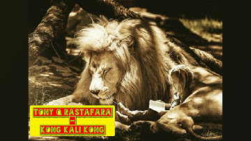 TONY Q RASTAFARA - KONG KALI KONG