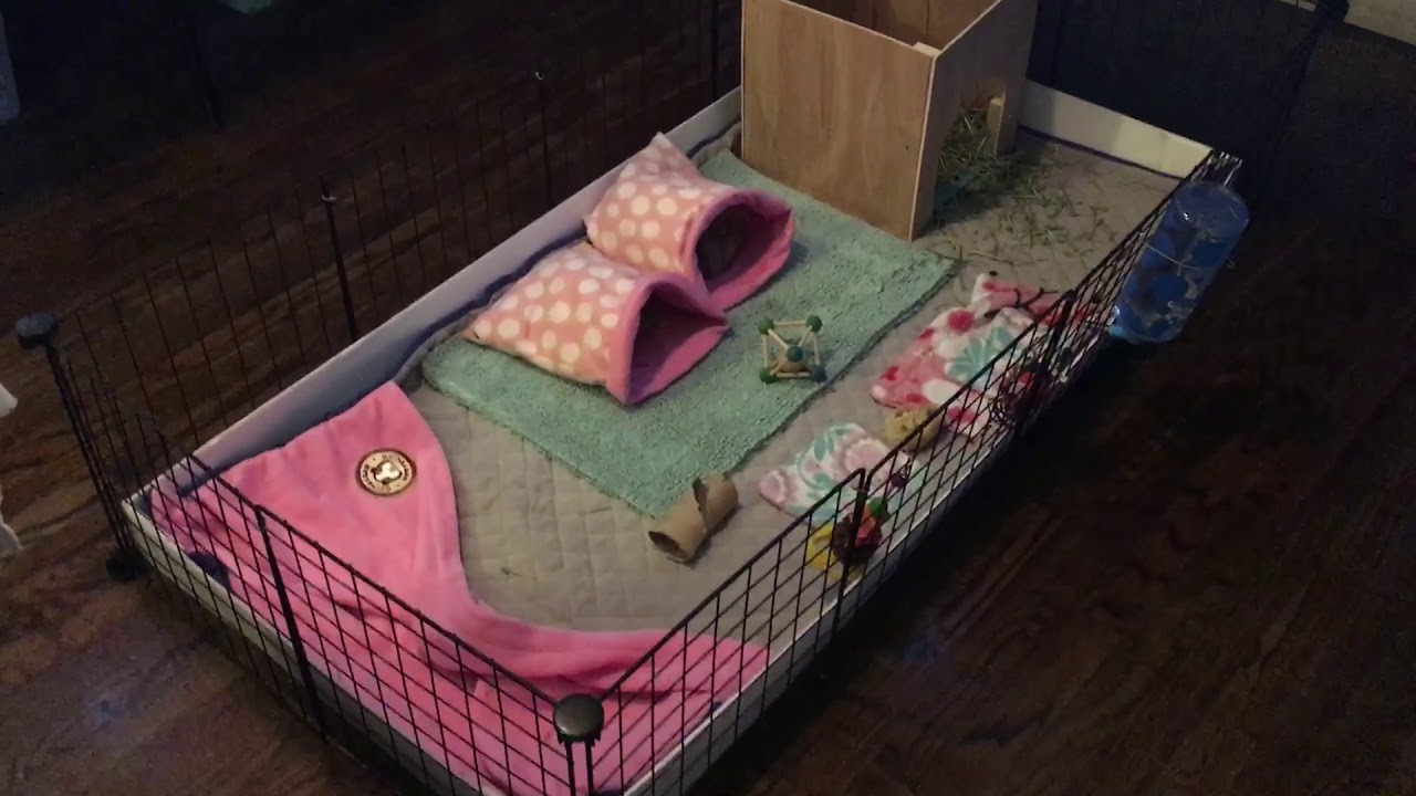 guinea pig dad fleece