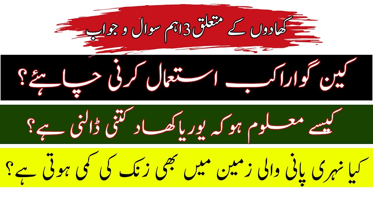 uses of fertilizer and manure|How to use CAN gawara|Urea deficiency|کھادوں پر آپکے سوالوں کے جواب