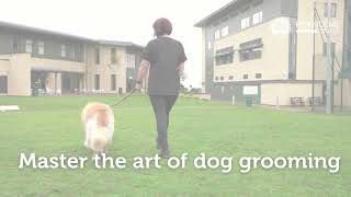 Dog Grooming Training & Services at Riseholme College