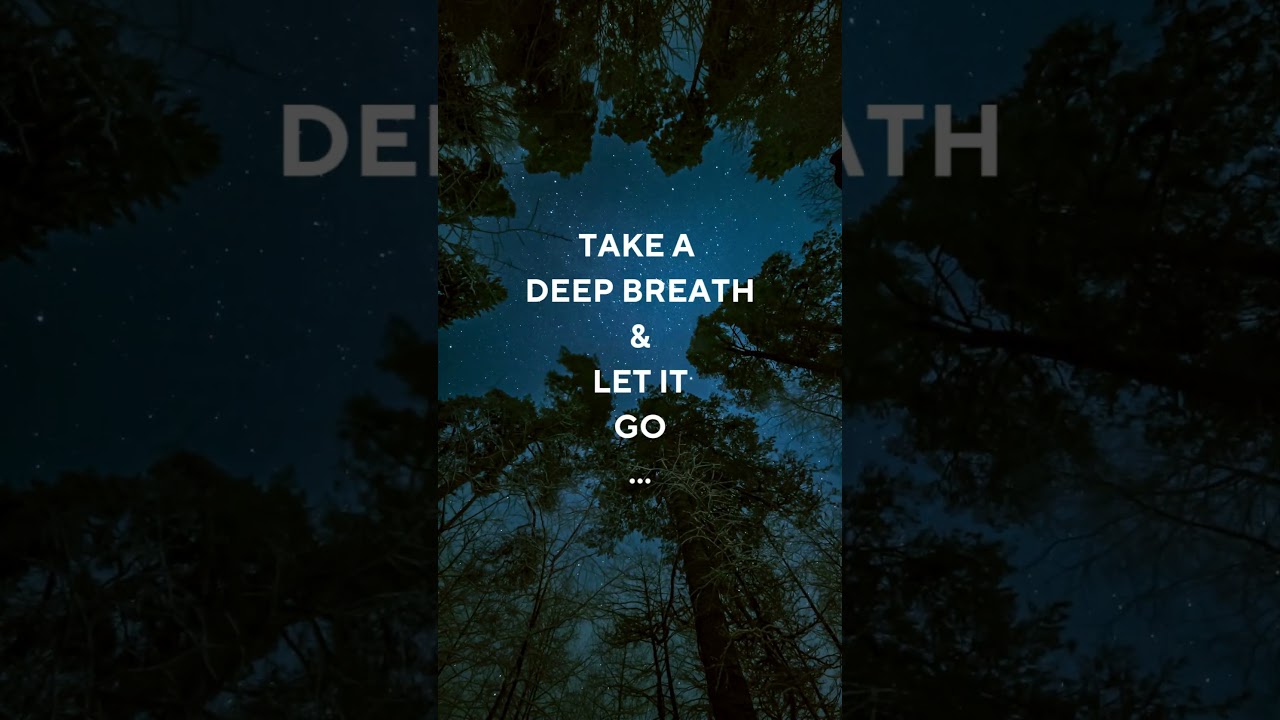 Birds Singing Summer Night | Birds Stress Relief 