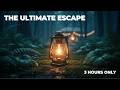 Deep Forest Rain & Glowing Lantern: 3 Hours of Instant Stress Relief. No Mid-Roll Ads
