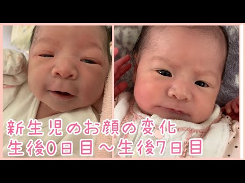 かのん 生後0日目から生後7日目 までの新生児の顔の変化や日常 Vlog Youtube