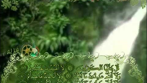 سورة الكافرون بصوت الشبل يوسف كالو