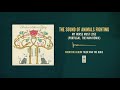 The Sound of Animals Fighting "My Horse Must Lose (Portugal. The Man Remix)"