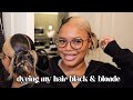 How I Dyed My Hair! Black &amp; Blonde Skunk Stripe! Bleaching Hair AT HOME!! | NaturallySunny