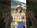 【解説編】ほうれん草の種まき ※全編は関連動画から！ #家庭菜園 #野菜作り #初心者