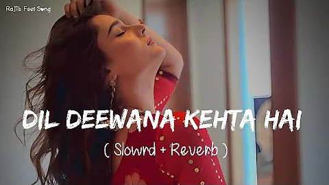 🎧Slowed and Reverb Songs | Dil Deewana Kehta Hai | RAJIB 801