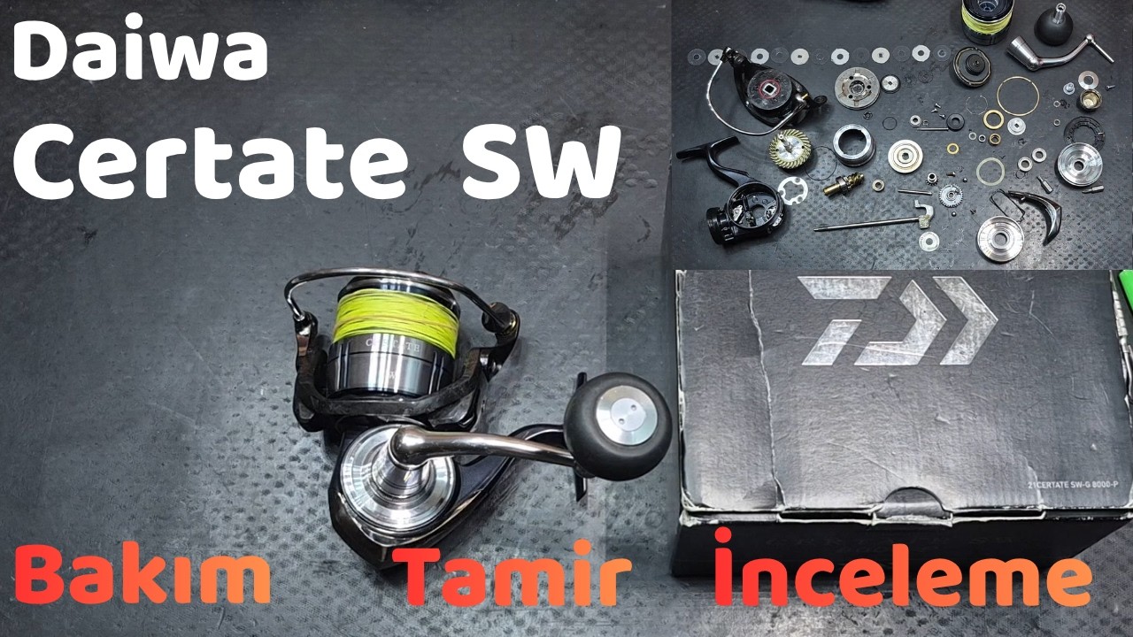 Daiwa Certate SW 8000-P | Full Details: Is It Worth Buying? You