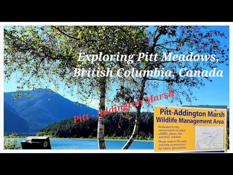 Exploring Pitt Meadows, B.C, Canada Part 2 | Road Trip #nature #naturelovers #lake #summer2023