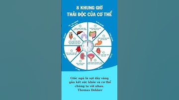 8 khung giờ thải độc của cơ thể mà bạn cần biết #giamcan