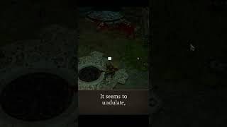 undulate — Divinity: Original Sin 2 dialogue scene