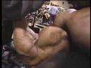 muscular endurance Bodybuilder Darryl Bush trains biceps - Guns 2002