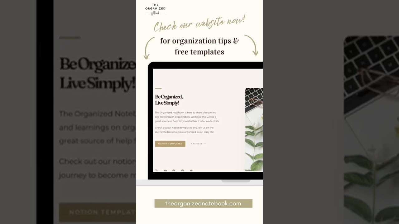 Check out our website!! ✨