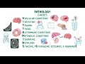 Seizures and epilepsy