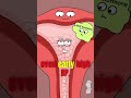 There is no baby 😱, molar pregnancy ⚠️#shorts #animation #funny