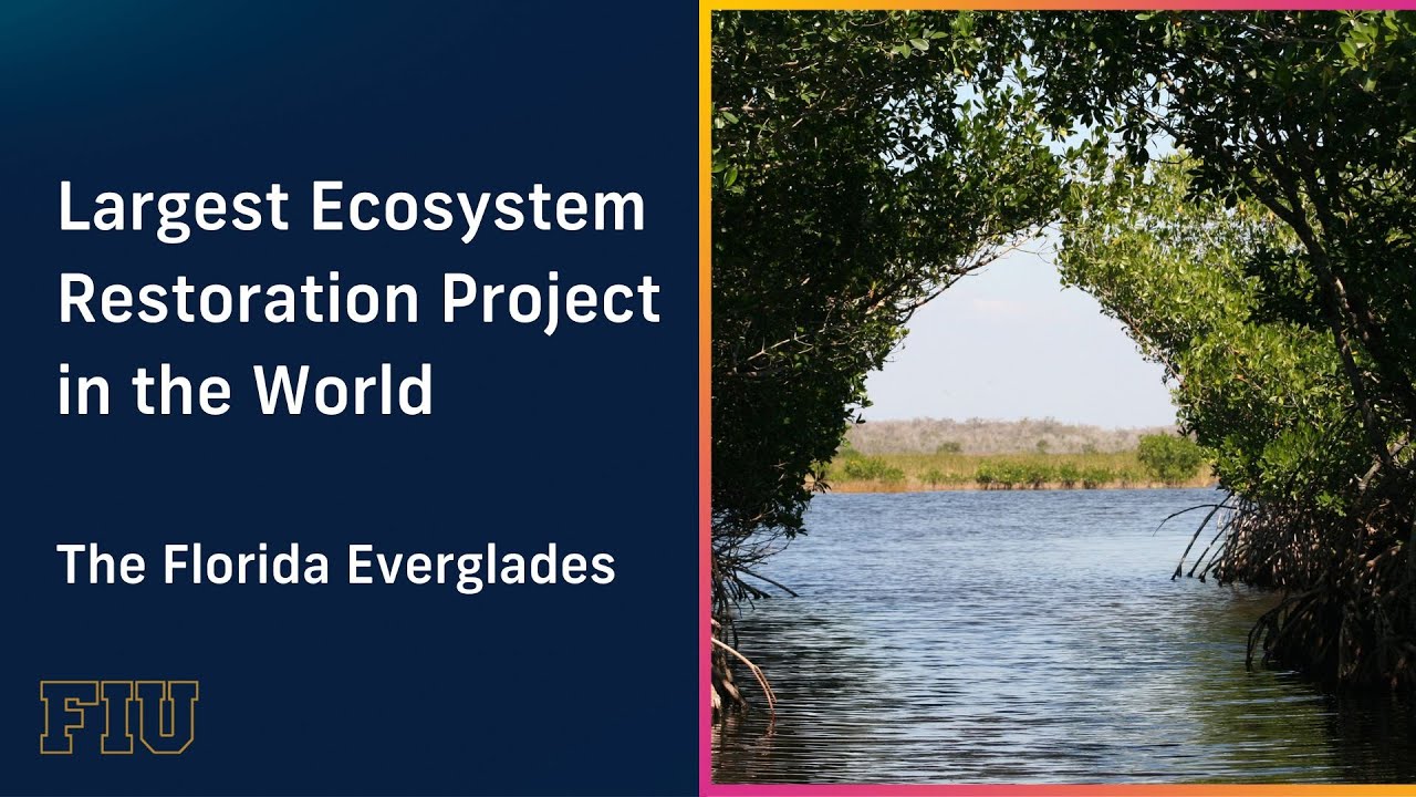 Largest Ecosystem Restoration Project In The World The Florida Largest Ecosystem Restoration Project In The World The Florida