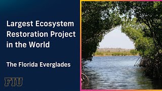 Largest Ecosystem Restoration Project in the World - The Florida Everglades