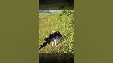 Stel je voor dat je vals speelt en toch verliest