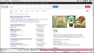 11 HTML Meta Tags