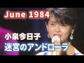 1984年6月 迷宮のアンドローラ 小泉今日子
