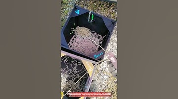 Innovative Rope Launcher System: Best Line Throwing Tool for Field Operations