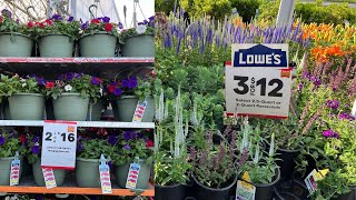 MEMORIAL DAY SALES on Perennial Plants and Hanging Baskets at LOWES