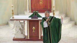 Father Mark Beard's Homily - "Last Penny" - 6th Sunday in Ordinary Time, Year A 2023