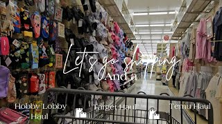 Hobby Lobby Shop With Me And Haul Plus A Haul From Temu And Target 