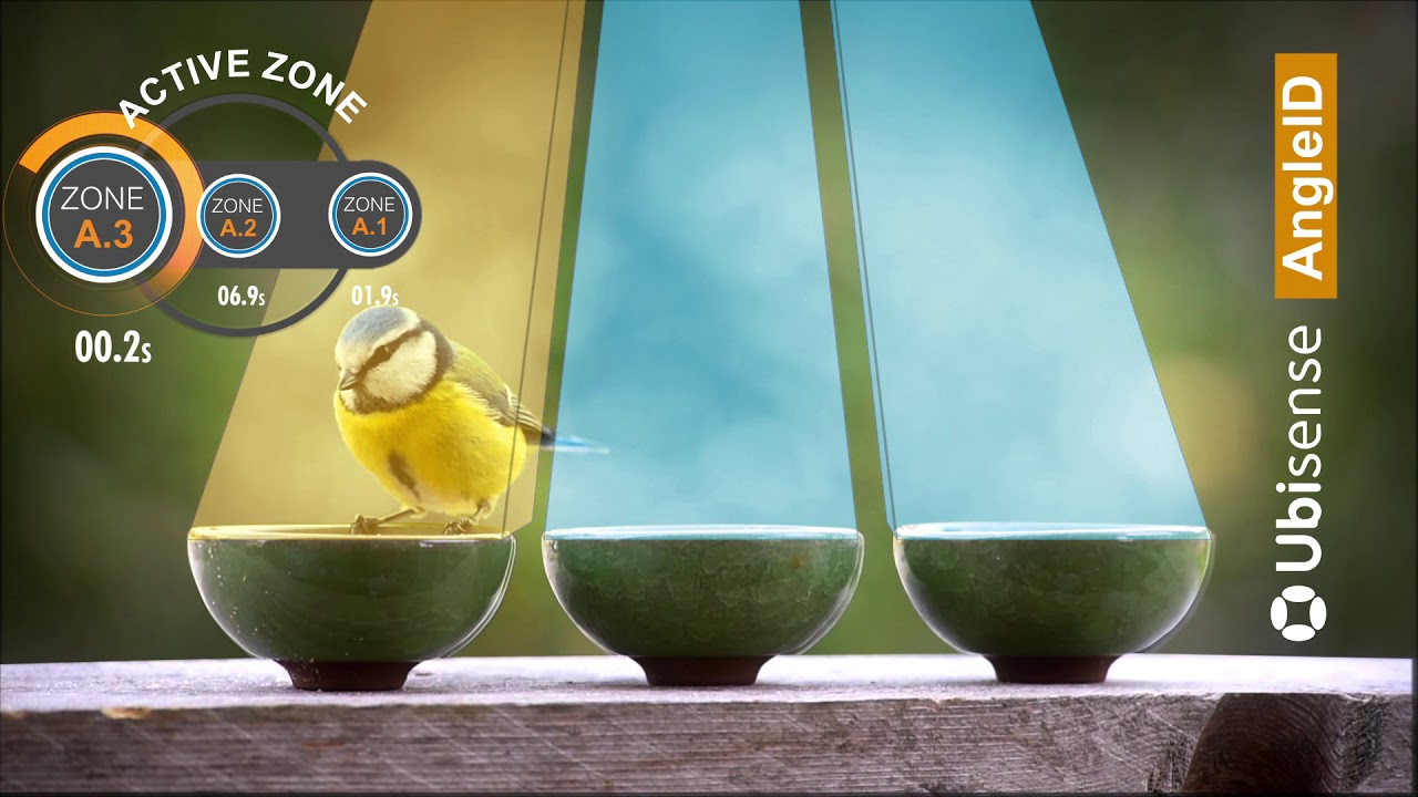 AngleID tracking garden bird