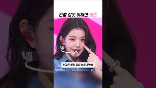 컨셉 잘못 이해한 리즈
