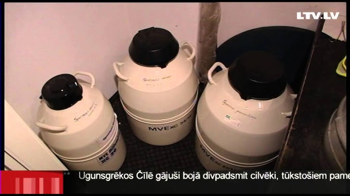 Ochiq havoda bir busty rus ayol becerdin