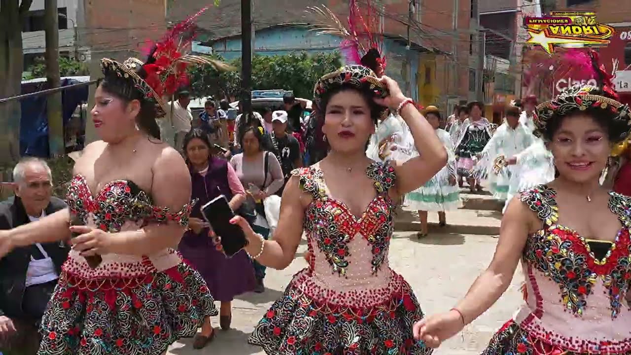 Gran pasacalle ambo #shortvideo #baile #tradiciones #shorts #musica #ambo #danza #bandatradicional 