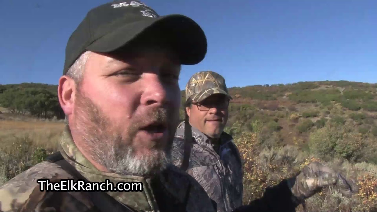 Bow Elk hunting in Colorado at The Elk Ranch YouTube