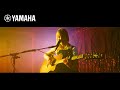 Yamaha Way Up with Zoe Mead [Wyldest] | Guitars | Yamaha Music