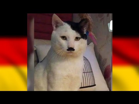 Top 5 Germany