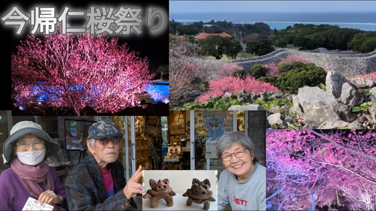 今帰仁城跡桜まつり