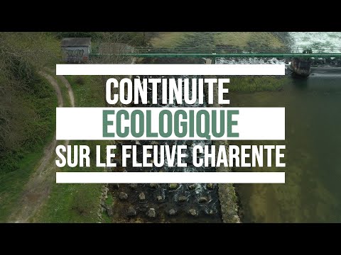 Continuité écologique sur le fleuve Charente - Les aménagements possibles