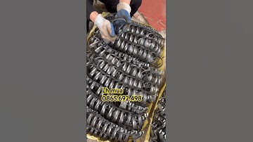 Cạm 9 đánh chuột đồng chuột thịt siêu hiệu quả