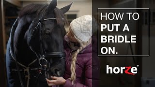 How to put a bridle on a horse - the Horze Lester bridle. Back to Basics
