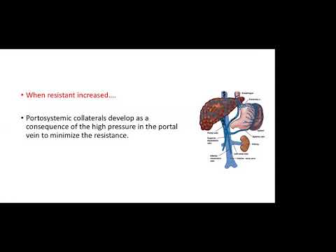 Clinical approach to portal hypertension